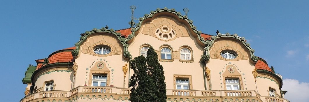 Palatul Vulturul Negru, Oradea
