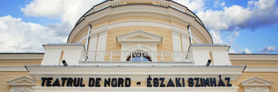 Teatrul de Nord, Satu Mare