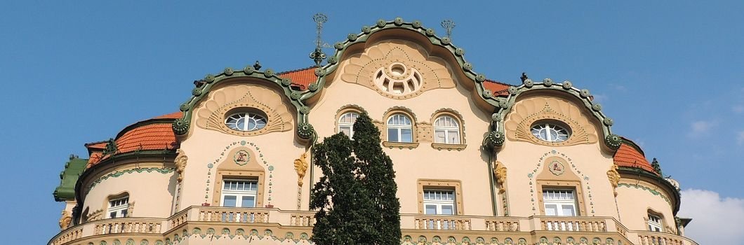 Palatul Vulturul Negru, Oradea